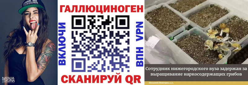 Галлюциногенные грибы Psilocybine cubensis  Шумерля 
